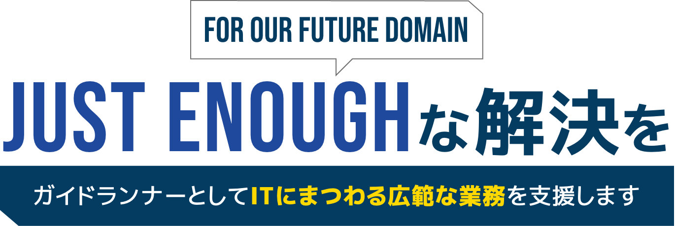 FOR OUR FUTURE DOMAIN JUST ENOUGHな解決をーガイドランナーとしてITにまつわる広範な業務を支援します